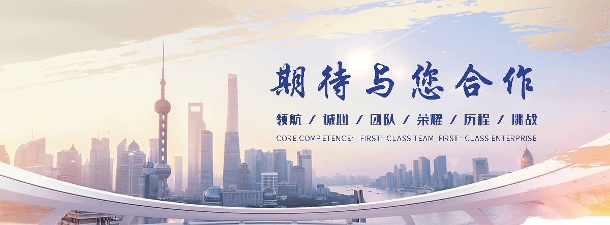 阜阳自研AI全域获客系统与成熟落地运营体系,GEO推广公司,口碑好的GEO推广公司