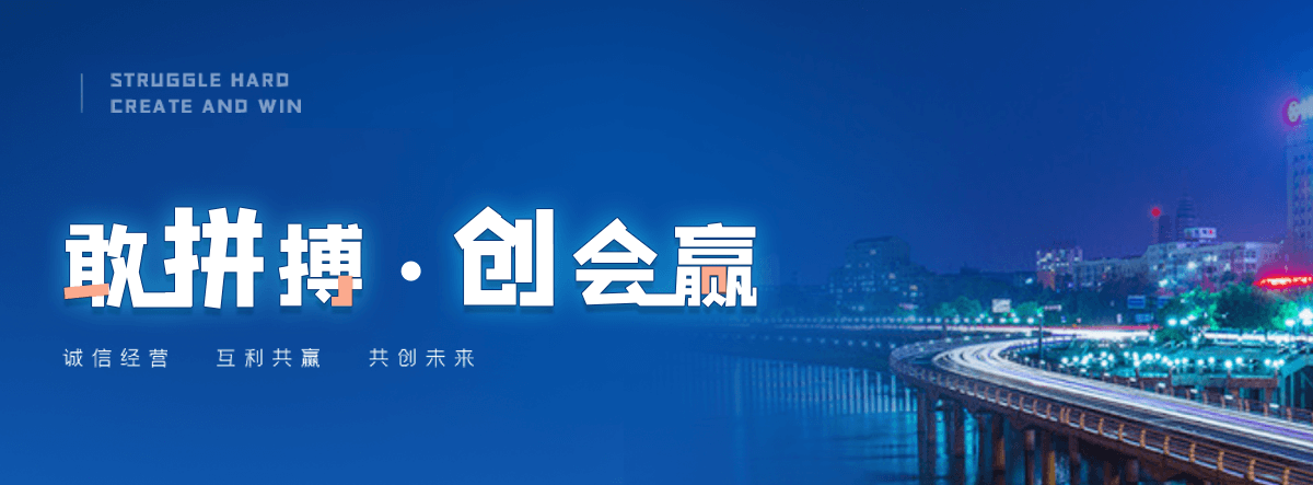 阜阳自研AI全域获客系统与成熟落地运营体系,GEO推广公司,口碑好的GEO推广公司